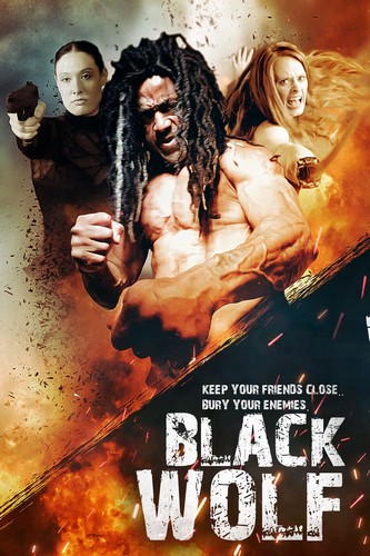 Black Wolf FRENCH WEBRIP LD 1080p 2023