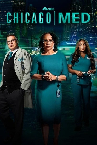 Chicago Med S09E13 FINAL FRENCH HDTV 2024