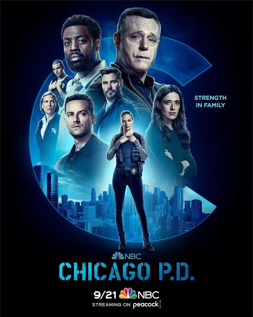 Chicago Police Department S10E20 VOSTFR HDTV