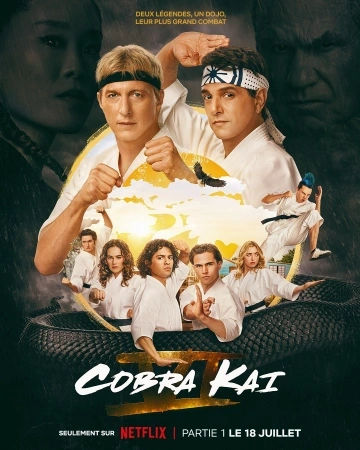 Cobra Kai S06E07 FRENCH HDTV 2024