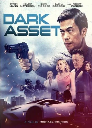 Dark Asset FRENCH WEBRIP LD 2023