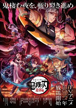 Demon Slayer (Kimetsu no Yaiba) Saison 2 VOSTFR 1080p HDTV