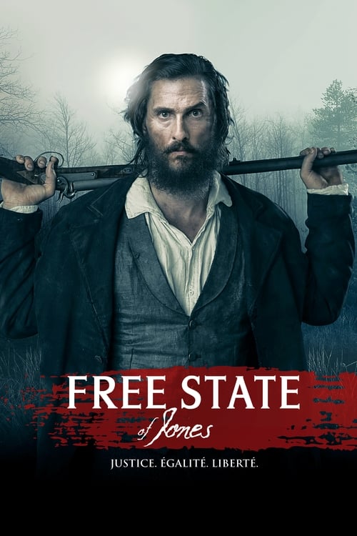 Free State of Jones MULTI TRUEFRENCH HDLight 1080p 2016