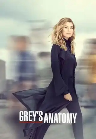 Grey's Anatomy S16E15 VOSTFR HDTV