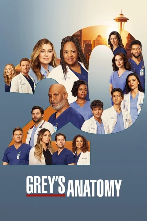 Grey's Anatomy S20E03 MULTI HDTV 1080p 2024