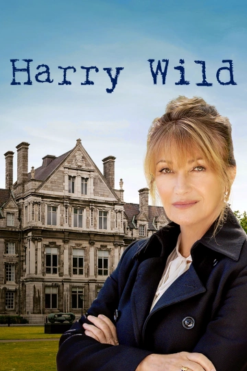 Harry Wild FRENCH S02E05 HDTV 2023