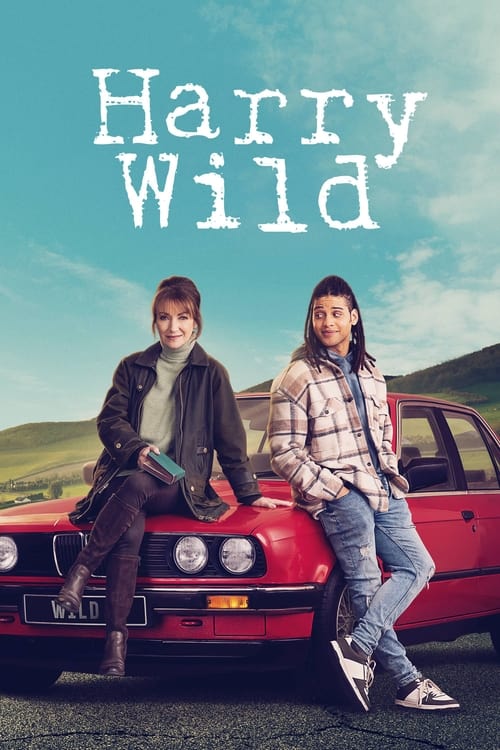 Harry Wild S03E02 FRENCH HDTV 1080p 2024