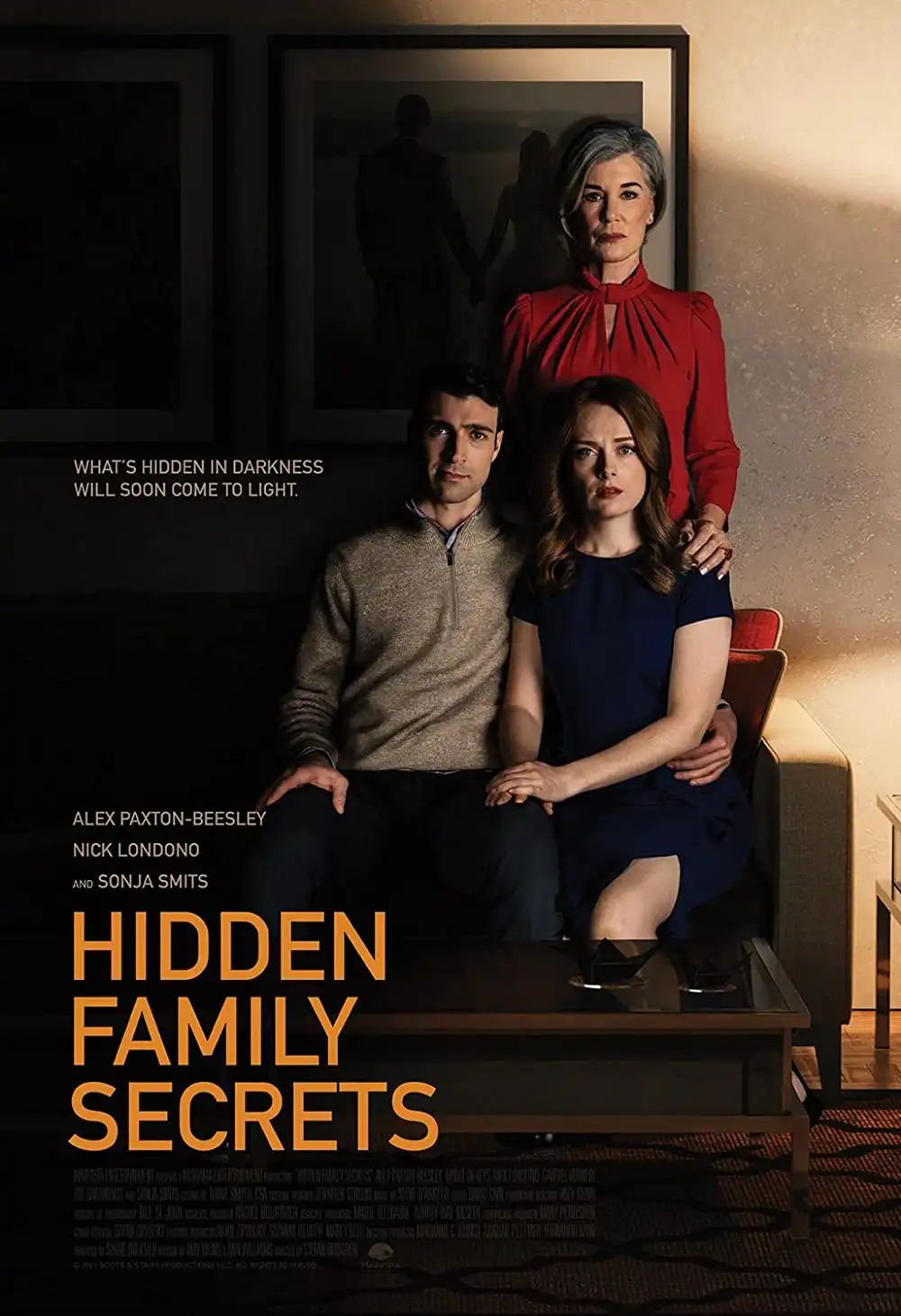 Hidden Family Secrets FRENCH WEBRIP 2021