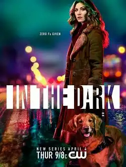 In The Dark S01E11 FRENCH HDTV