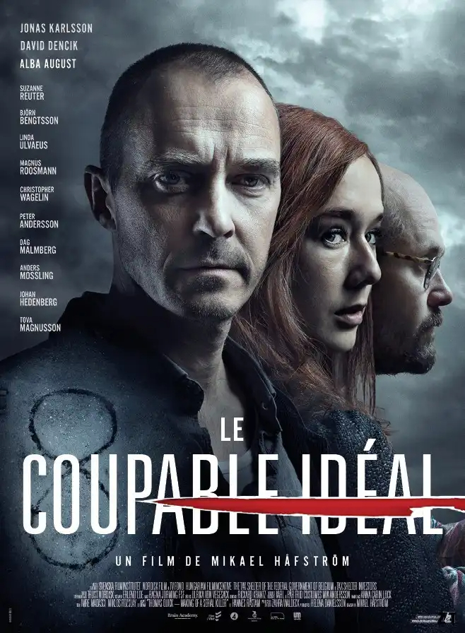 Le Coupable idéal VOSTFR HDLight 1080p 2020