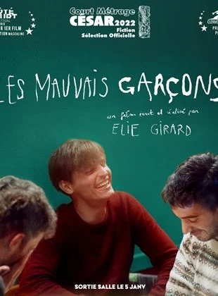 Les Mauvais garçons FRENCH WEBRIP x264 2023