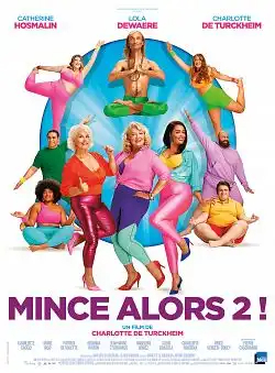 Mince alors 2 ! FRENCH WEBRIP 720p 2022