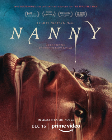 Nanny FRENCH WEBRIP x264 2022