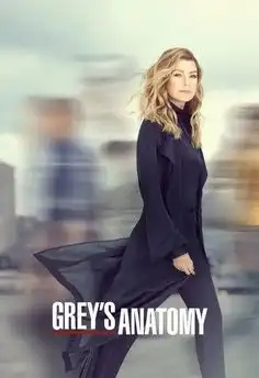 pègreys Anatomy S16E02 VOSTFR HDTV