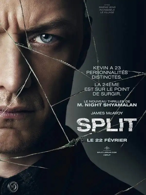 Split TRUEFRENCH DVDRIP 2017