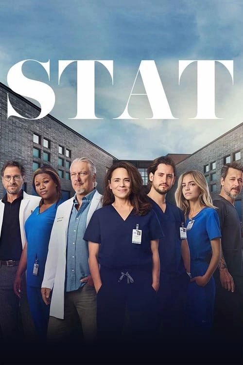 Stat S03E40 FRENCH HDTV 1080p 2024